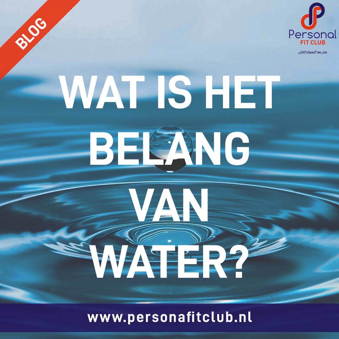 Personal Fit Club - Het belang van water web